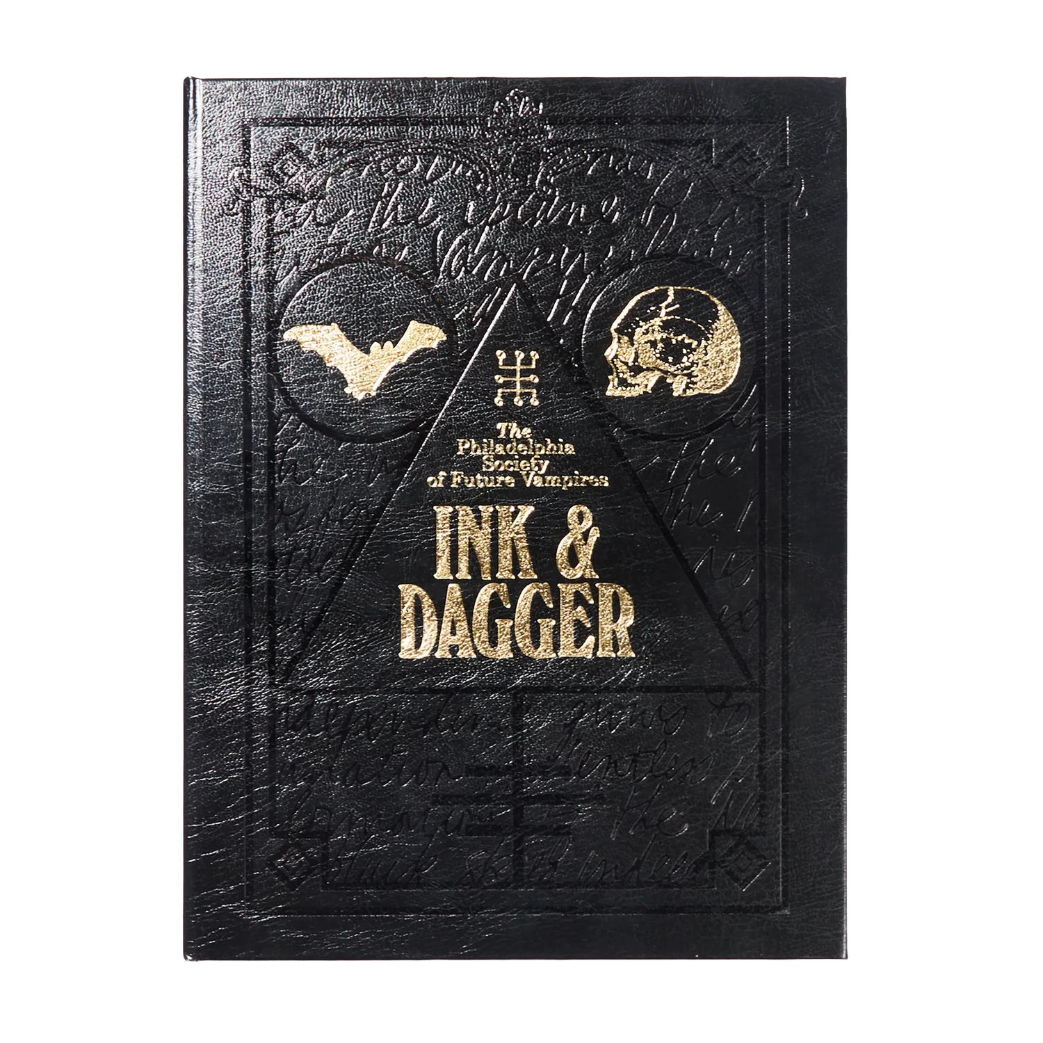 Ink & Dagger book